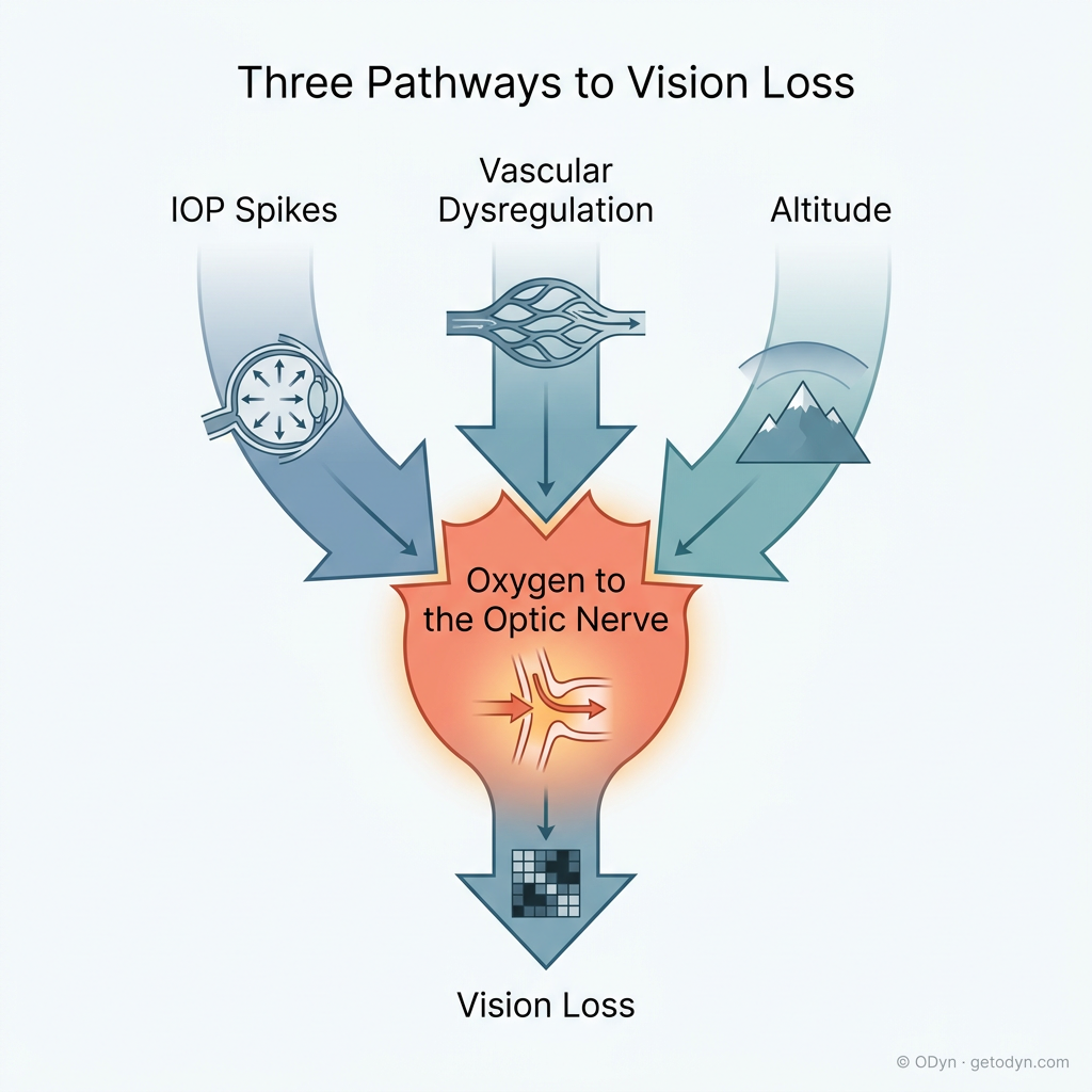 Three pathways — IOP spikes, vascular dysregulation, and altitude — all converge on the same root variable: oxygen delivery to the optic nerve.